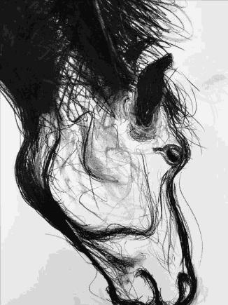 Shabs Beigh, Horse Head Study, 2019