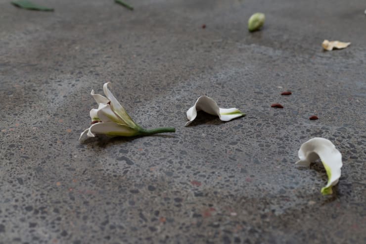 Cindy Huang - Offering #2, 2025