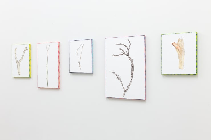 Yolunda Hickman, Julia Morison, Zina Swanson, Raukura Turei, Jan van der Ploeg