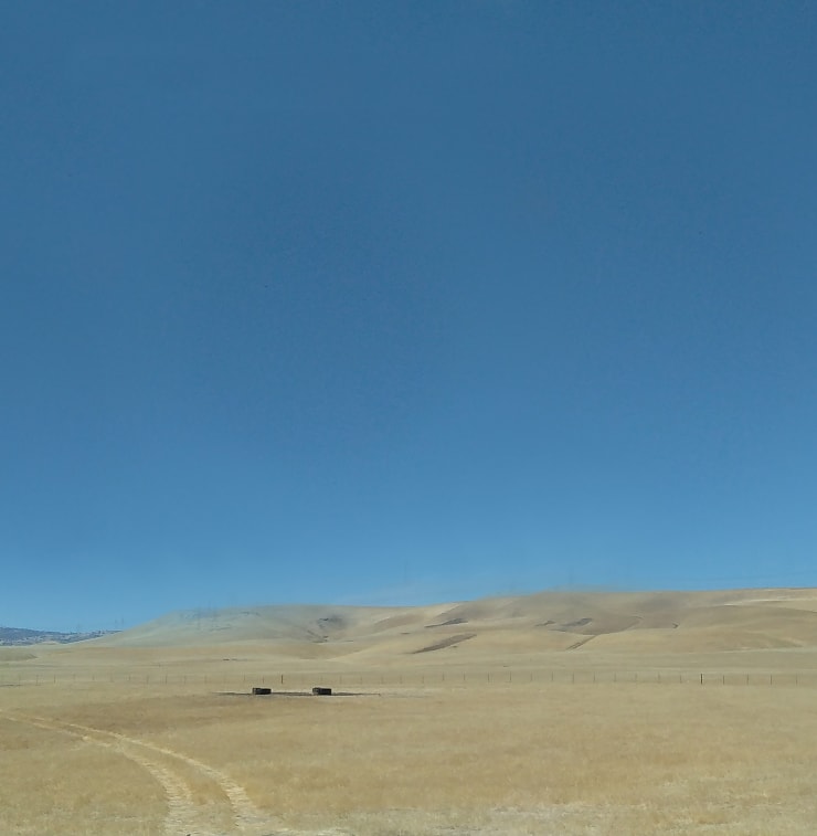 The Never Quartet Michael Morley