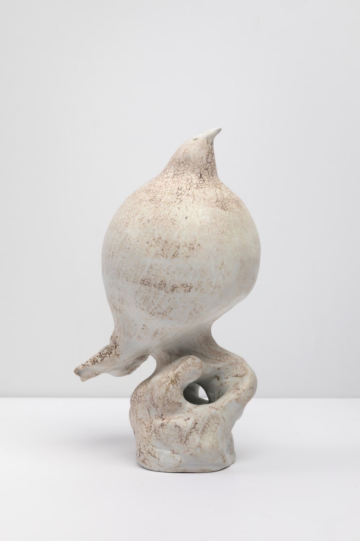 Aspiring Bird 1 9 25 4 3 4 5