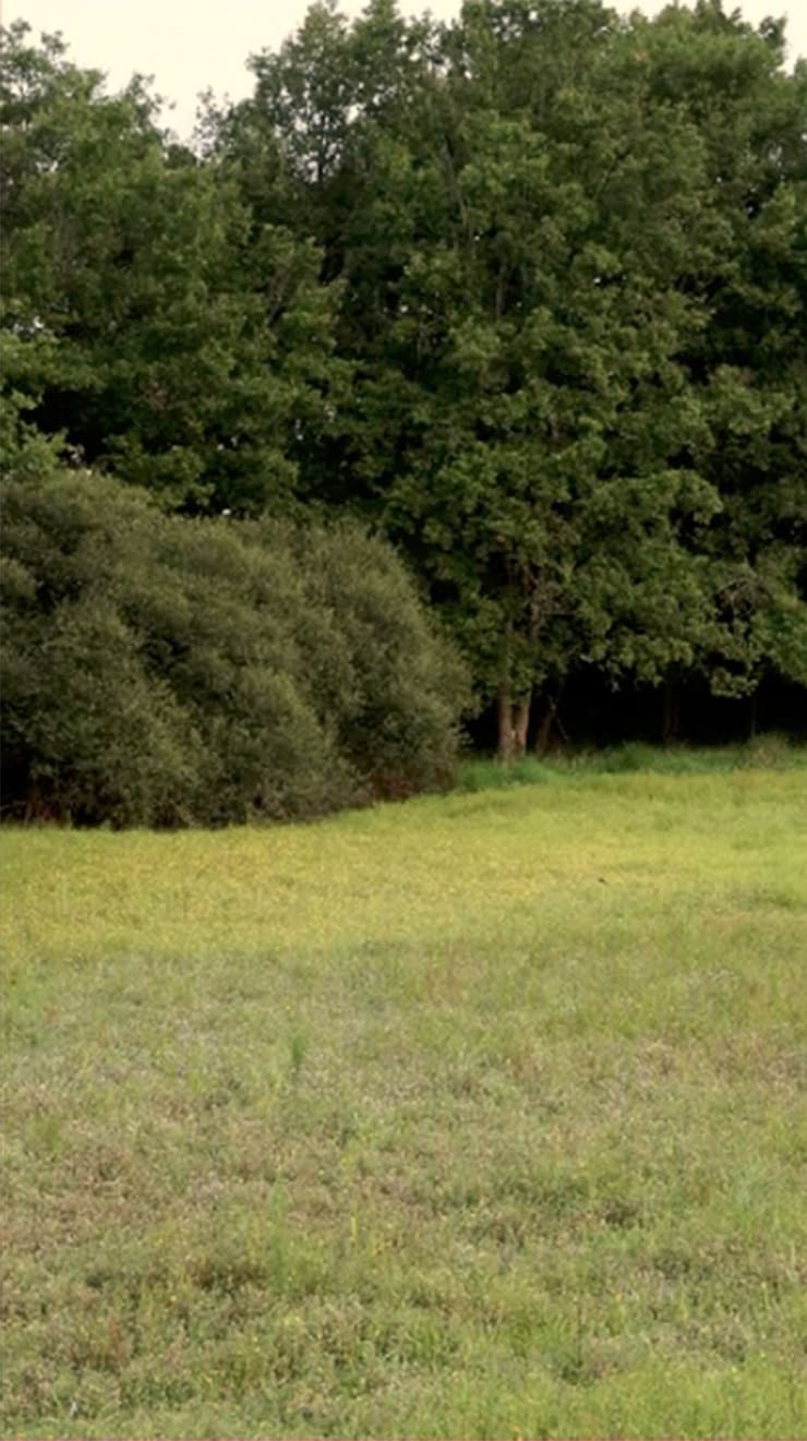 Jeffrey Blondes Le Grand Etang West 3