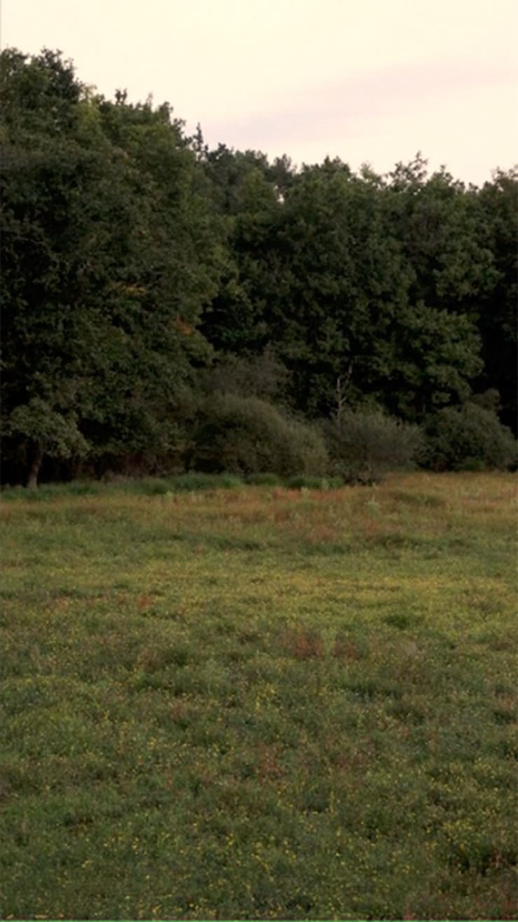 Jeffrey Blondes Le Grand Etang West 4