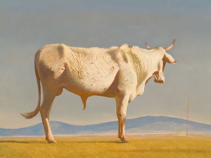 Plaza del Toro, 2022 Oil on linen 60 x 80 inches