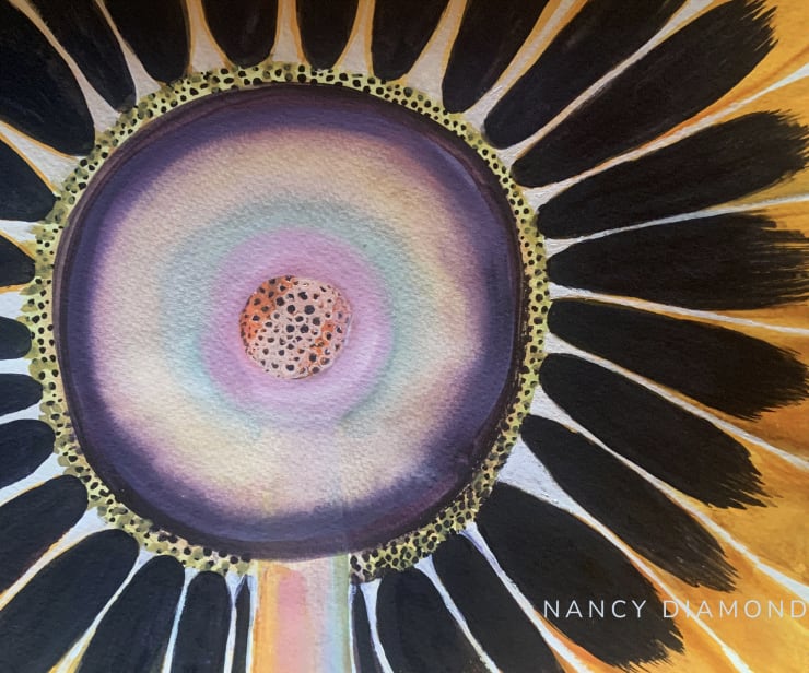 Nancy Diamond