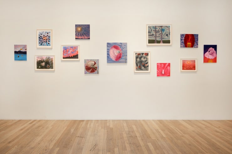 PETAL TONGUE Nancy Diamond