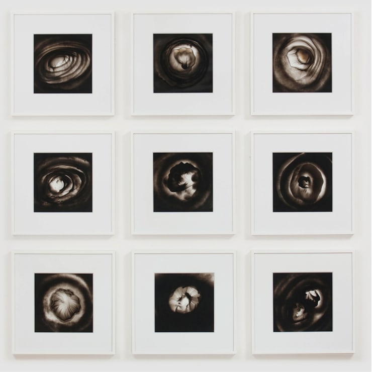 INFINITE MUSINGS BY DENNIS LEE MITCHELL