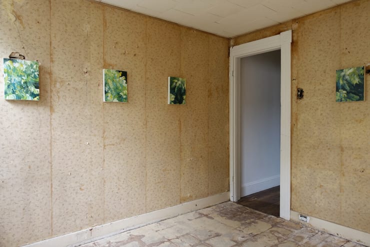 Cynthia Daignault ROWHOUSE PROJECT, Baltimore, 2015