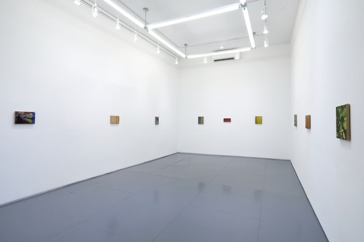 Jennifer J. Lee Planet Caravan Klaus Von Nichtssagend Gallery, New York, 2021