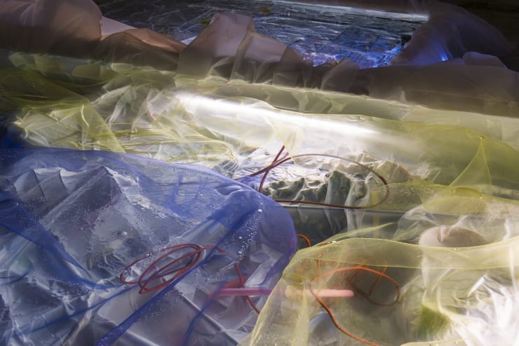 Samara Scott Jacobs Creek 2016 Installation View 10