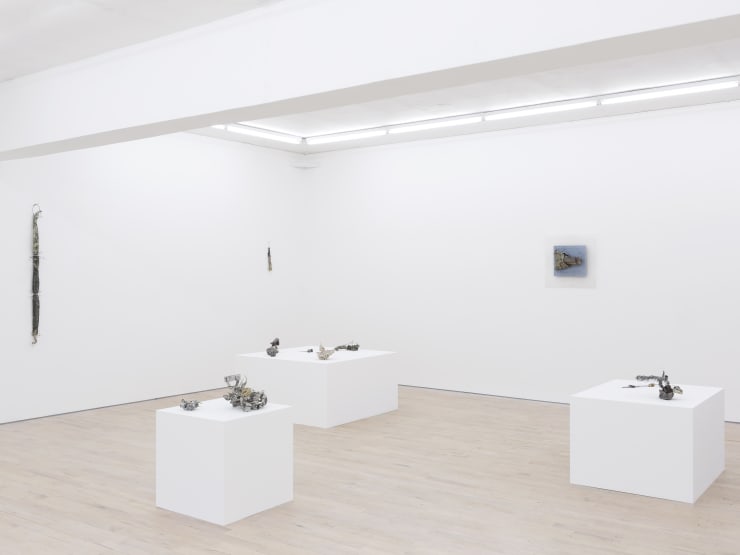 3 Gillian Lowndes Installation View