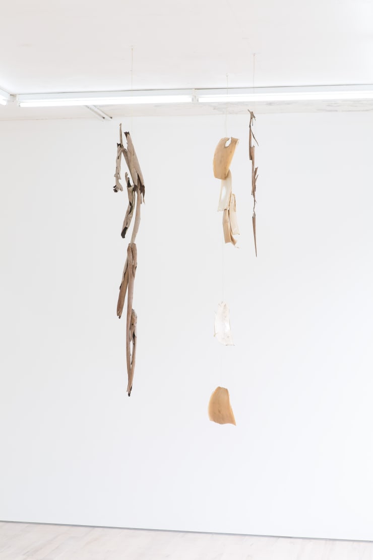 Hannah Lees Eternal Return I, 2014 / Come and Go, 2014 Eucalyptus bark, brass wire Giant Bamboo sheathes, brass wire 186 x 24 x 5 cm / 210 x 20 x 6 cm