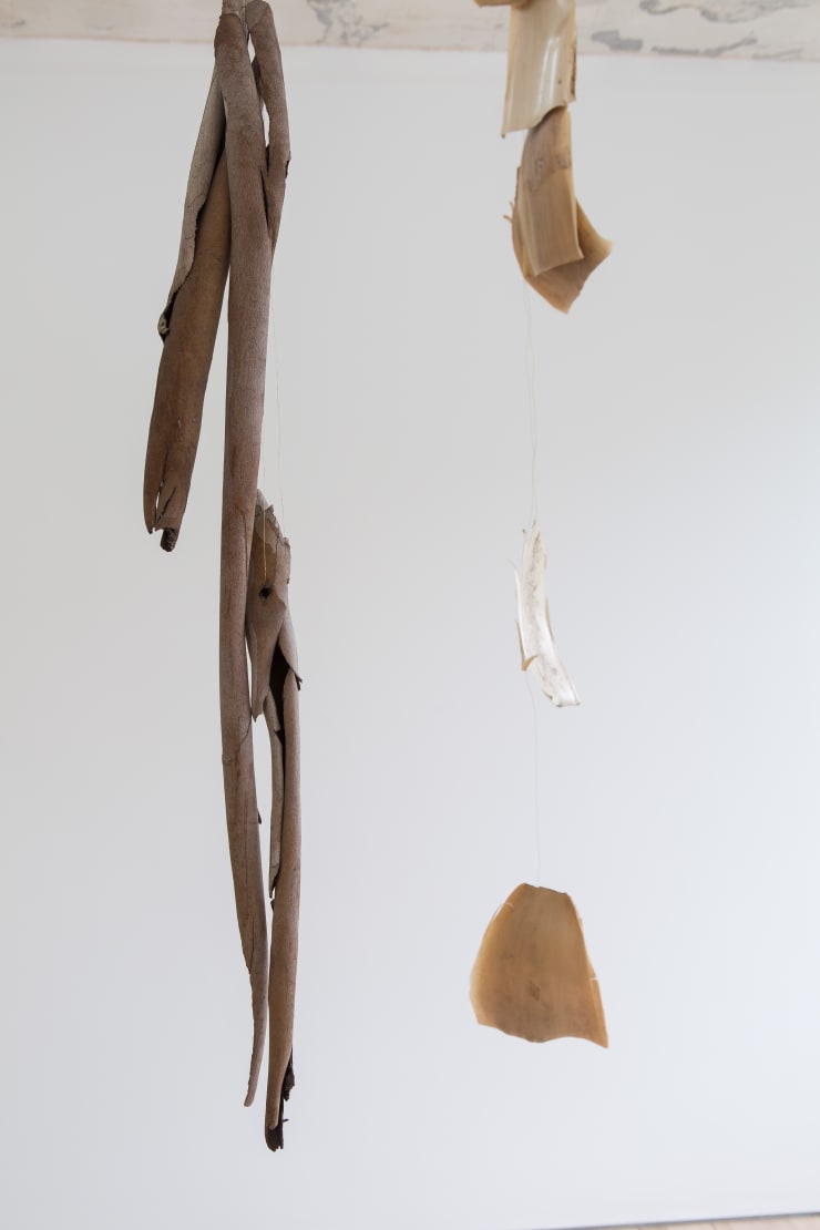Hannah Lees Eternal Return I, 2014 / Come and Go, 2014 Eucalyptus bark, brass wire Giant Bamboo sheathes, brass wire 186 x 24 x 5 cm / 210 x 20 x 6 cm