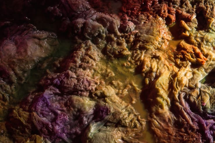 Samara Scott Tavern, 2014 Metal tray, toilet paper, white wine, dyes