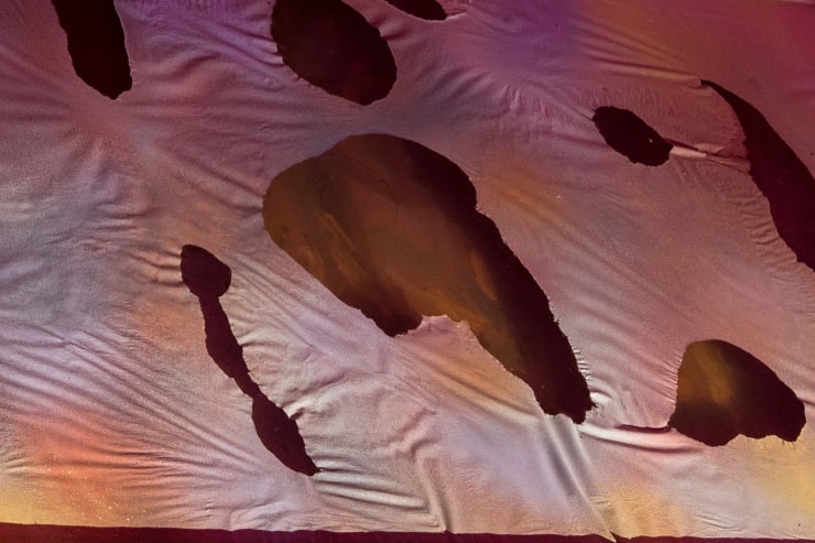 Samara Scott Drunk complexion, 2014 Baking tray, water, oil paints, spray paint