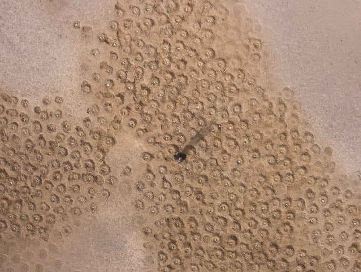 Tarek Al-Ghoussein, Abu Dhabi Archipelago (Salaha 2), 2015-, Digital Print, 60 x 80cm, Edition of 6 + 1AP