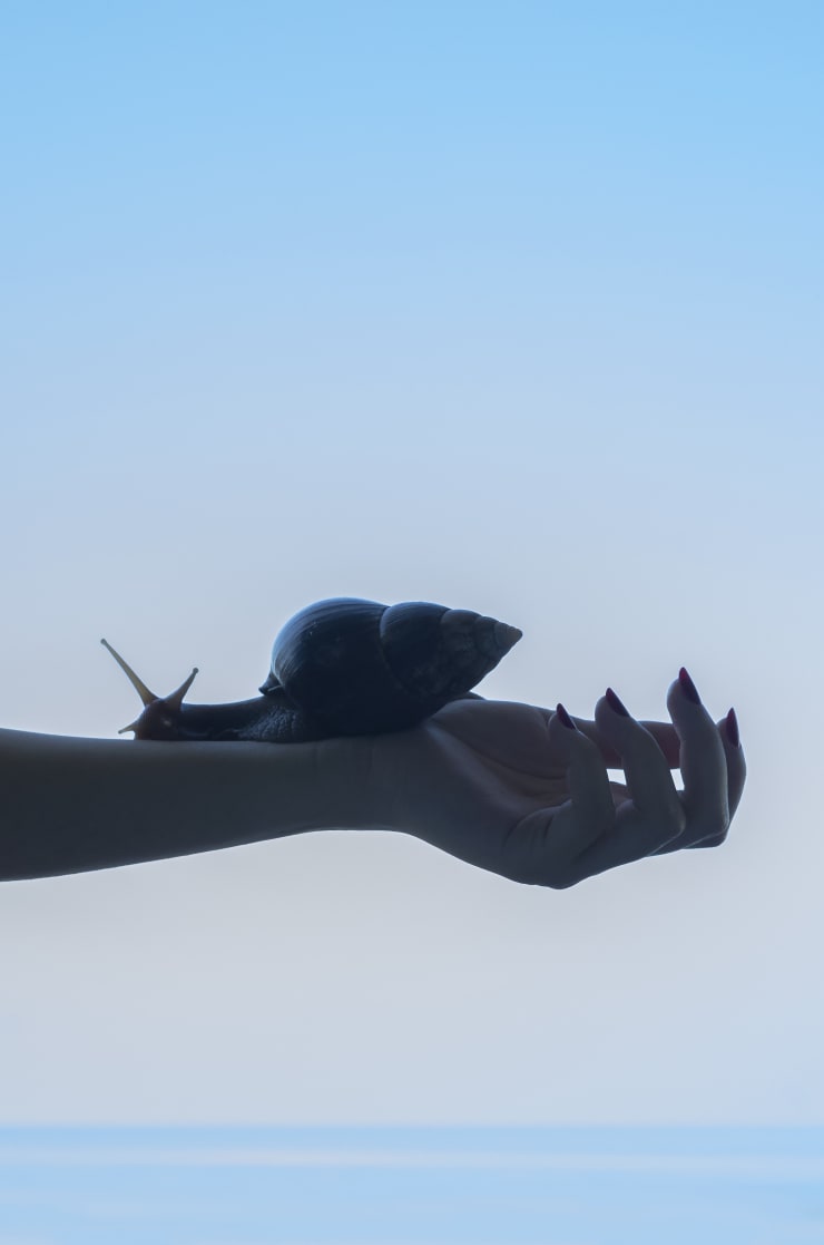 Woman and Snail, 2022