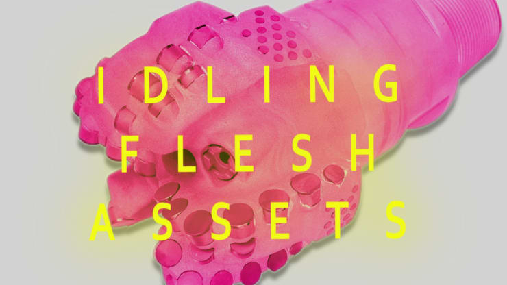 Idling Flesh Assets, 2017