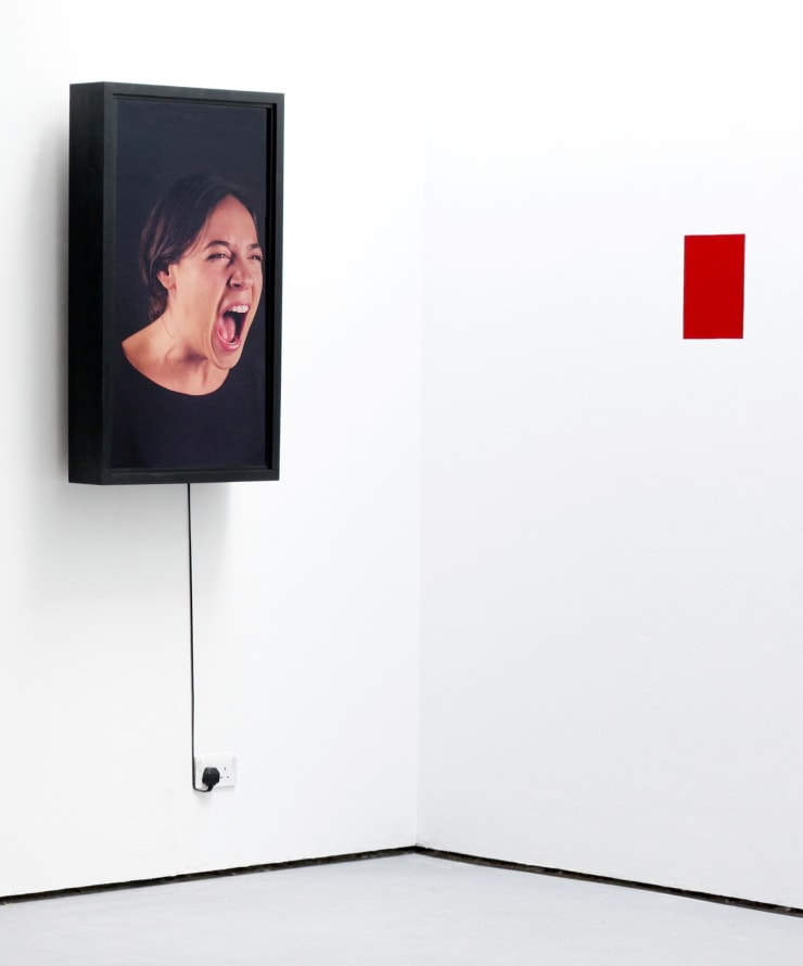 Silent Scream and S3060Y70R (Blood Code), 2014