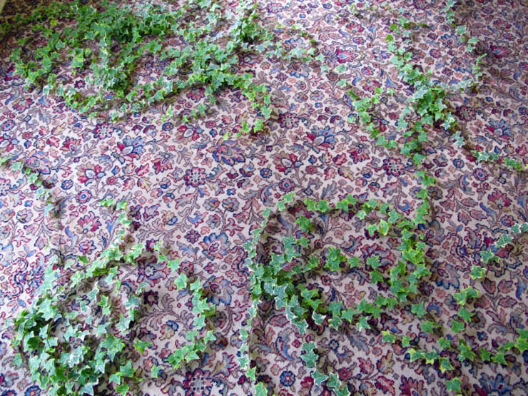 Ivy, 2012