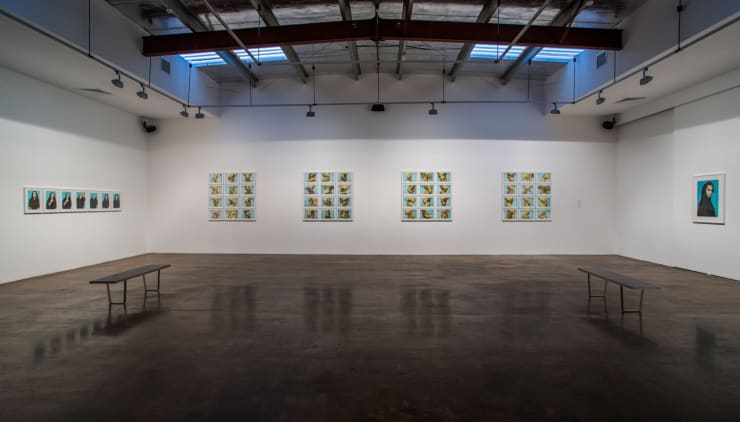 Time of Transformation, 2013