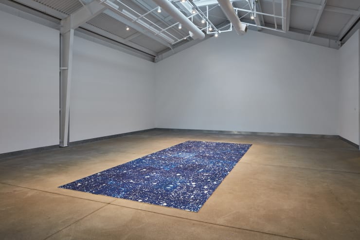 Luminous Ground, 2018
