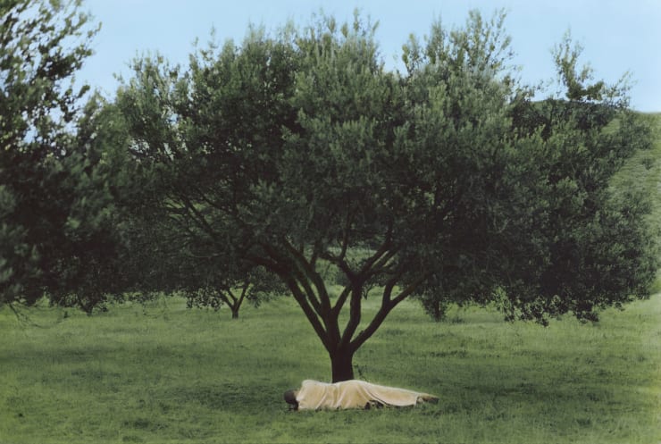 Youssef Nabil Self-portrait with an Olive Tree, Kéa, 2016 Hand Coloured Gelatin Silver Print 26 x 39 cm Edition of 10