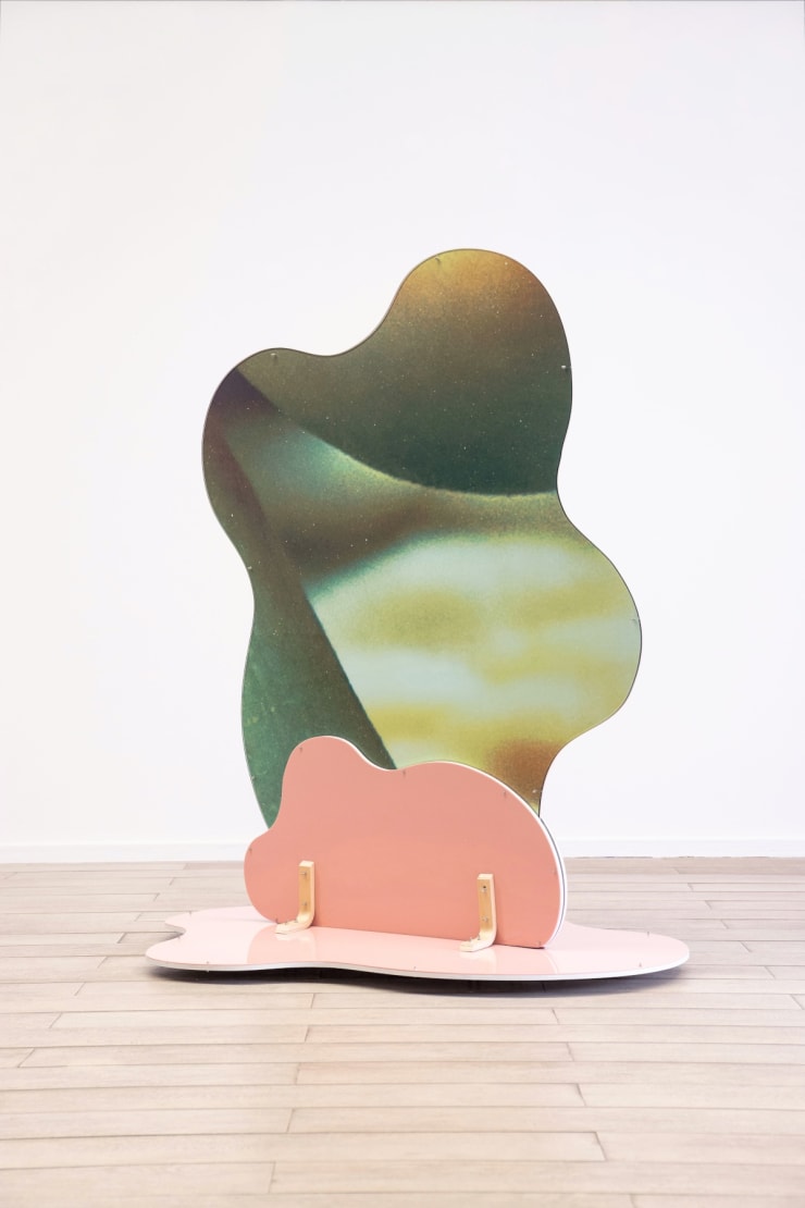 Pink Curves, 2020–1