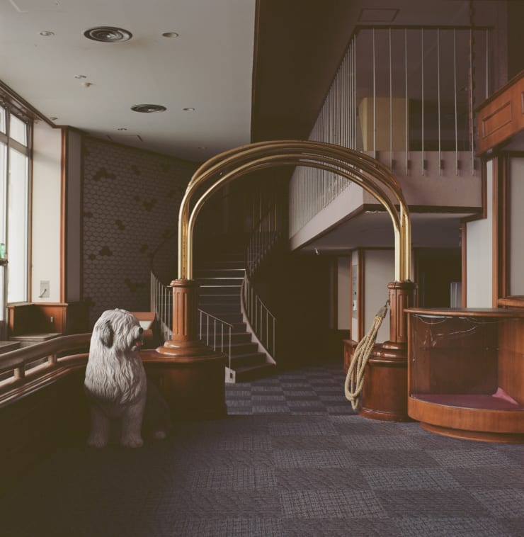 Lamya Gargash Old English Sheepdog, 2022 C-type Print 80.00 x 80.00 cm Edition of 5, 1AP