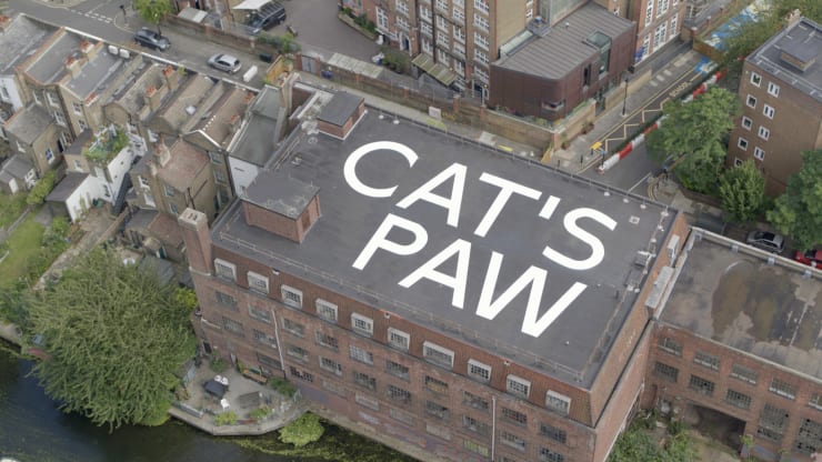 CAT’S PAW, 2021