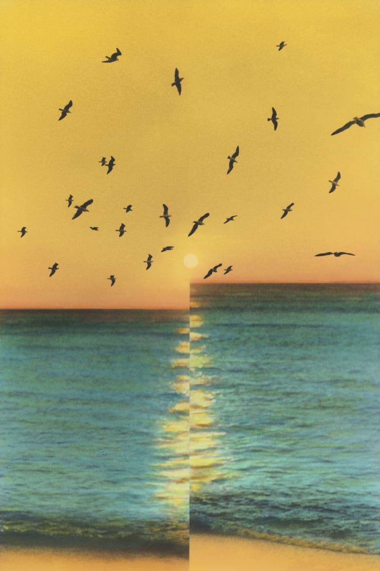 No one knows but the Sky, 2019
