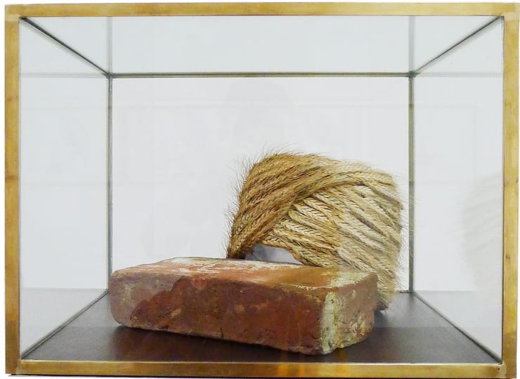 Wheat Mollah, 2011