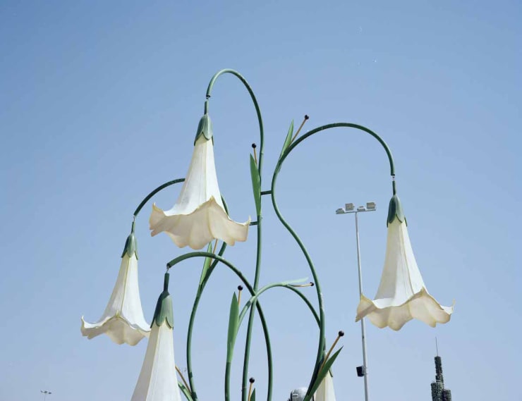 Farah Al Qasimi, Miracle Garden, archival inkjet print.