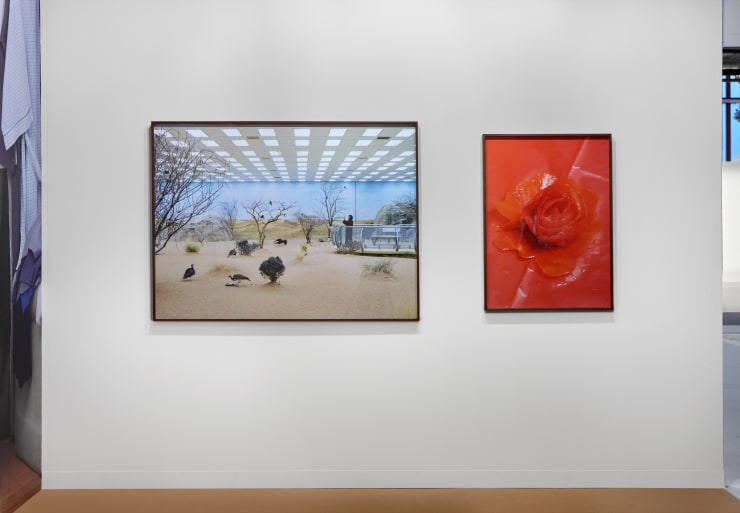 The Third Line, Art Basel, Basel, 2019, Installation View
