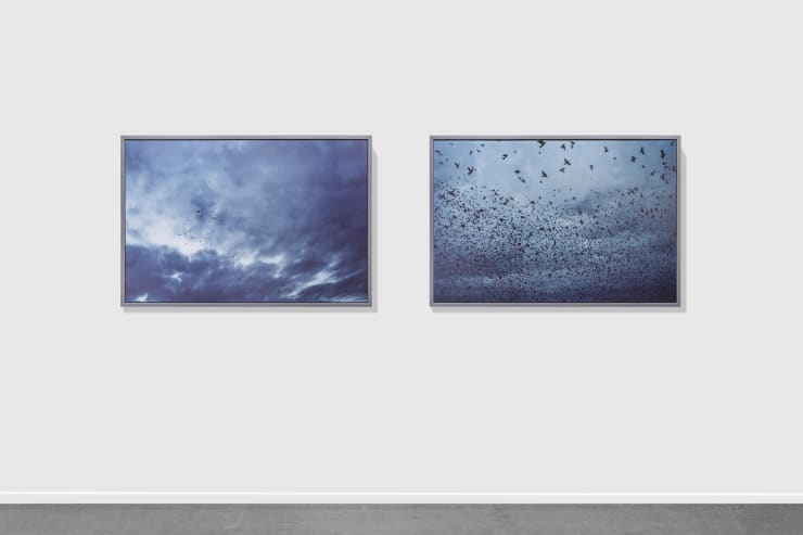 The Third Line, Art Dubai, 2018, Installation View