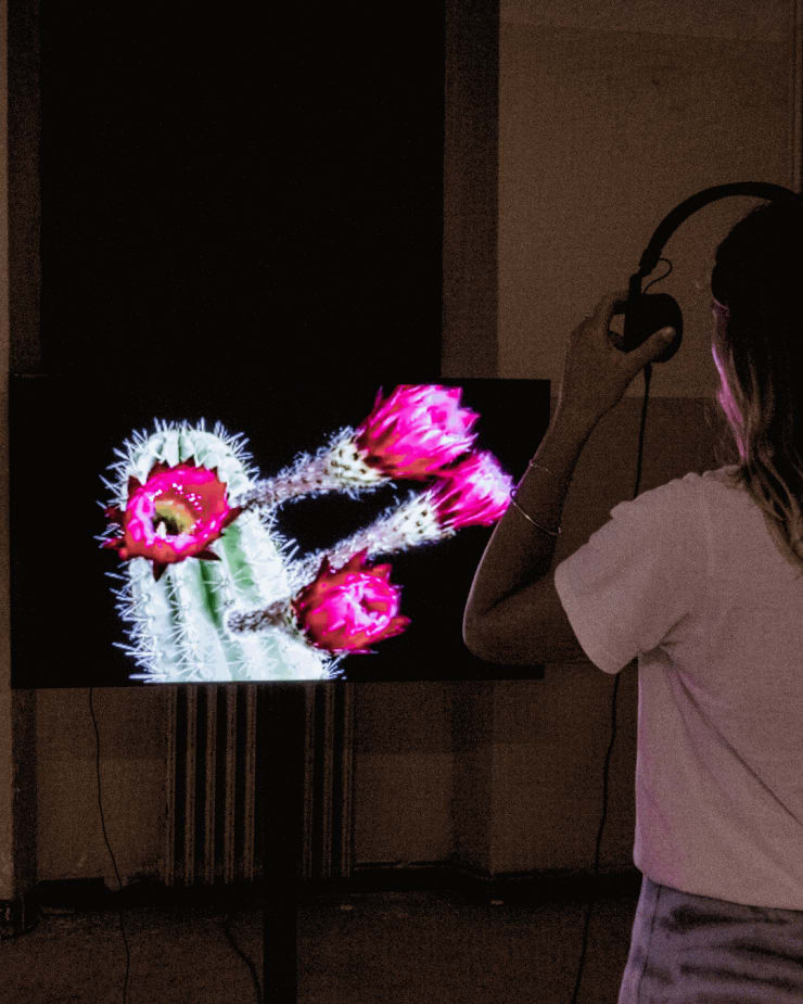 Installation view, Sophia Al Maira, Roma Amor: The Fall of Empires, 2024, De Renava