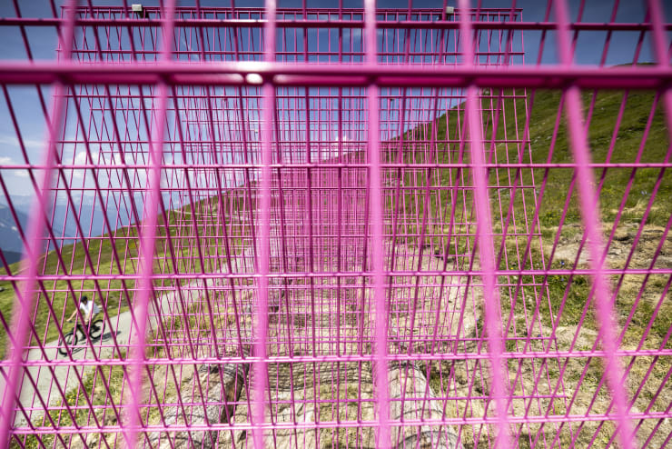 Installation views: Rana Begum and Steve Webb, No.1387 Fence, 2024, Powder-coated fencing, local wooden logs, Verbier 3-D Foundation Sculpture Park.