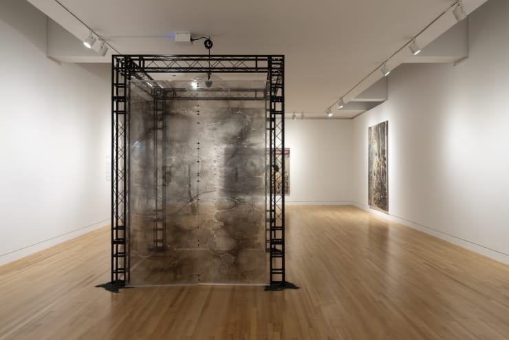 Installation view: Hayv Kahraman: Look Me in the Eyes, Frye Art Museum, Seattle, October 5, 2024–February 2, 2025. Photo: Jueqian Fang