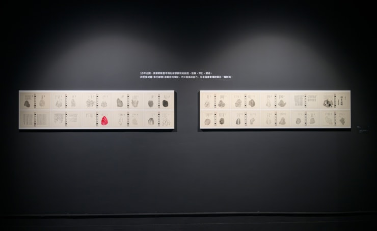 384566776 703165485184989 3685594386442868873 N