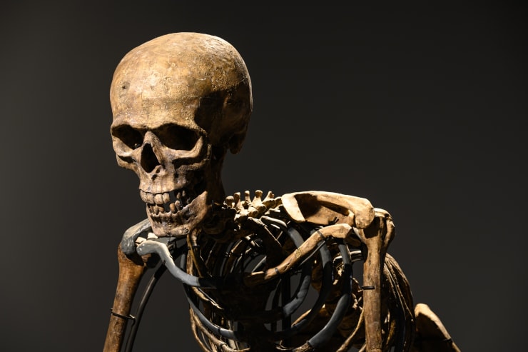 20220528 The Ark 0096 Small