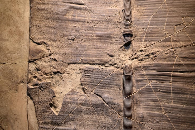 20220528 The Ark 0112 Small