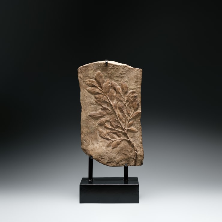 涂維政, 遺跡化石, 2020. Tu Wei-Cheng, Trace Fossil - PM 25, 2020.