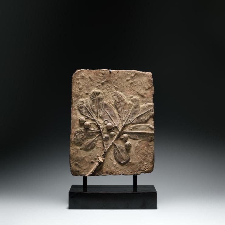 涂維政, 遺跡化石, 2020. Tu Wei-Cheng, Trace Fossil - PM 22, 2020.