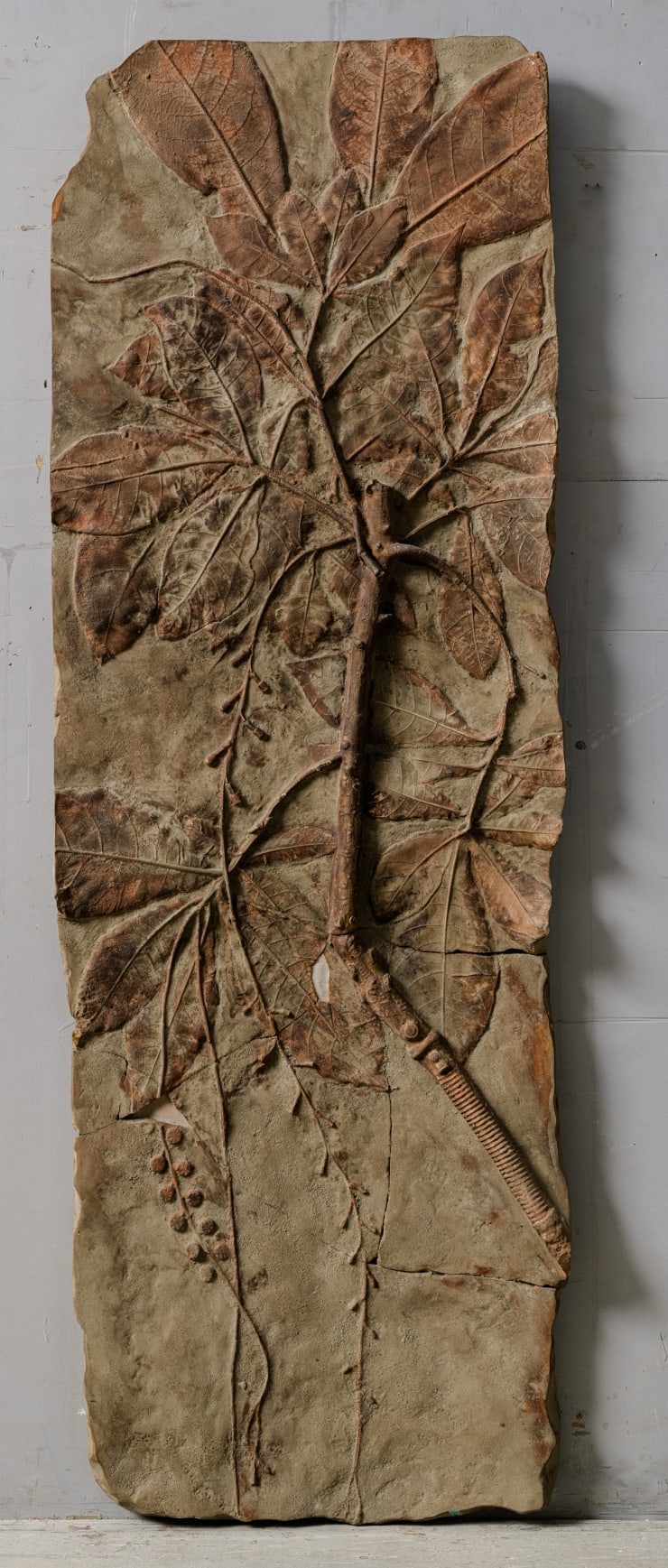 220325155434 Mini Srgb