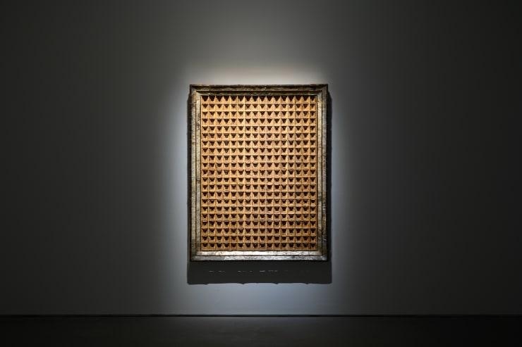 20221105 Walking The Woods 0020 Small