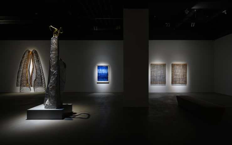 20221105 Walking The Woods 0048 Small