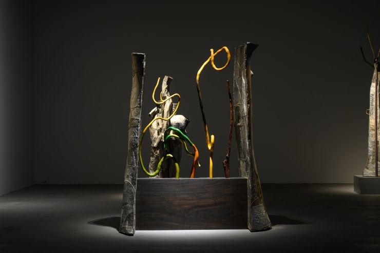 20221105 Walking The Woods 0081 Small