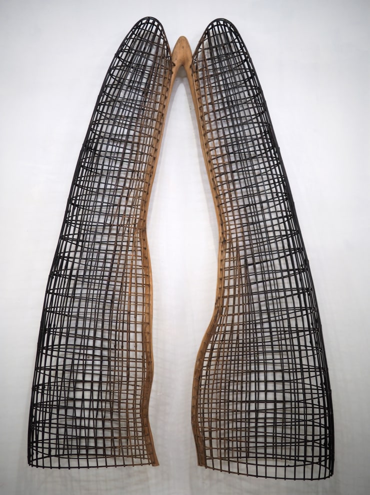 索菲普．皮奇 - 長日消逝 Days Gone By , 2025