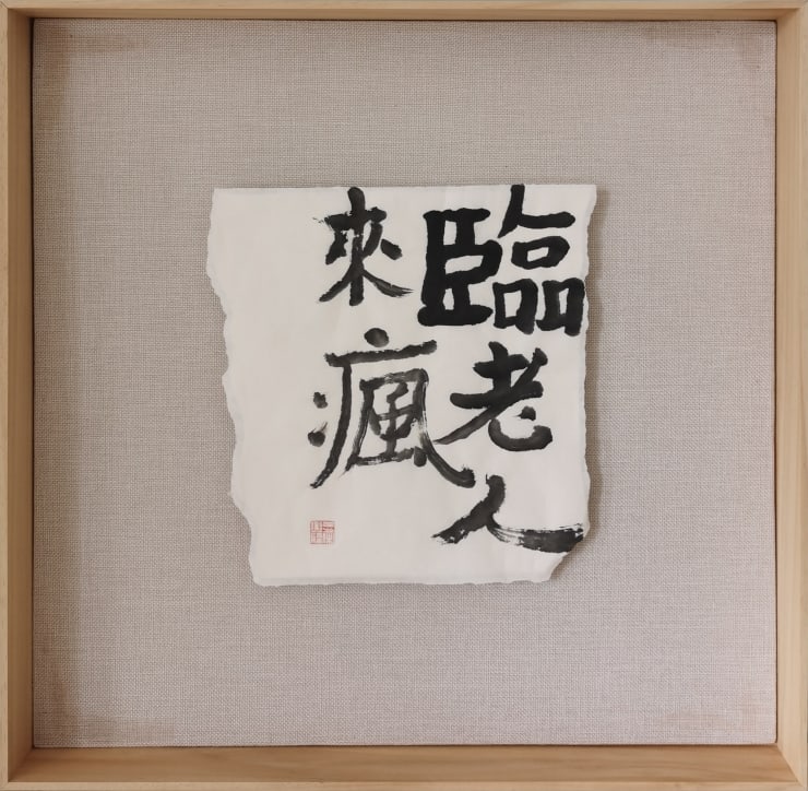 彭薇, 画字系列：临老人来瘋, 2021