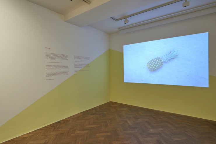 Curated by Zina Saro-Wiwa The Pineapple Show